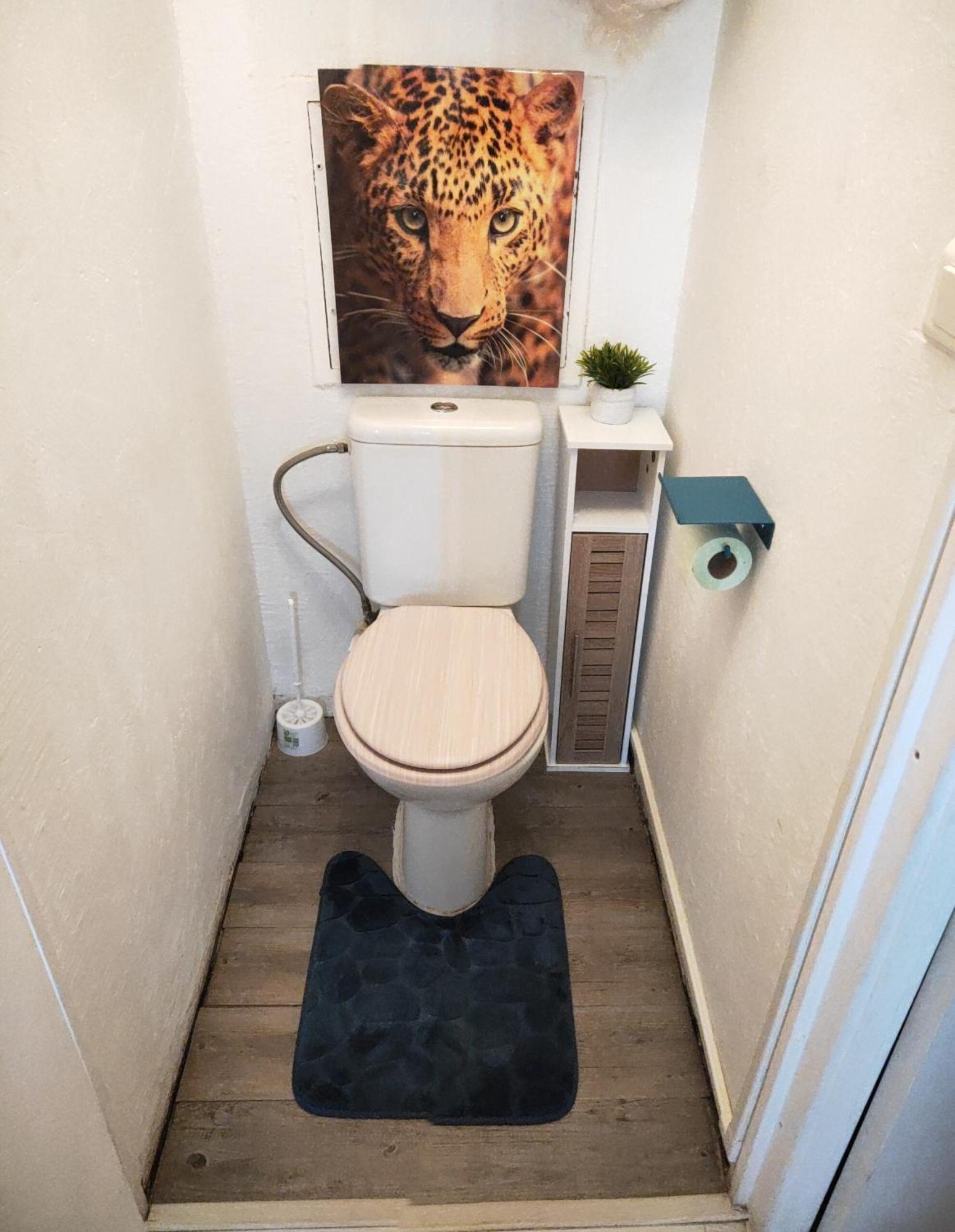La Perle Marine, Cosy Et Renove, 200 M De La Plage, 1 Chambre, Parking Et Wifi Sète Eksteriør billede