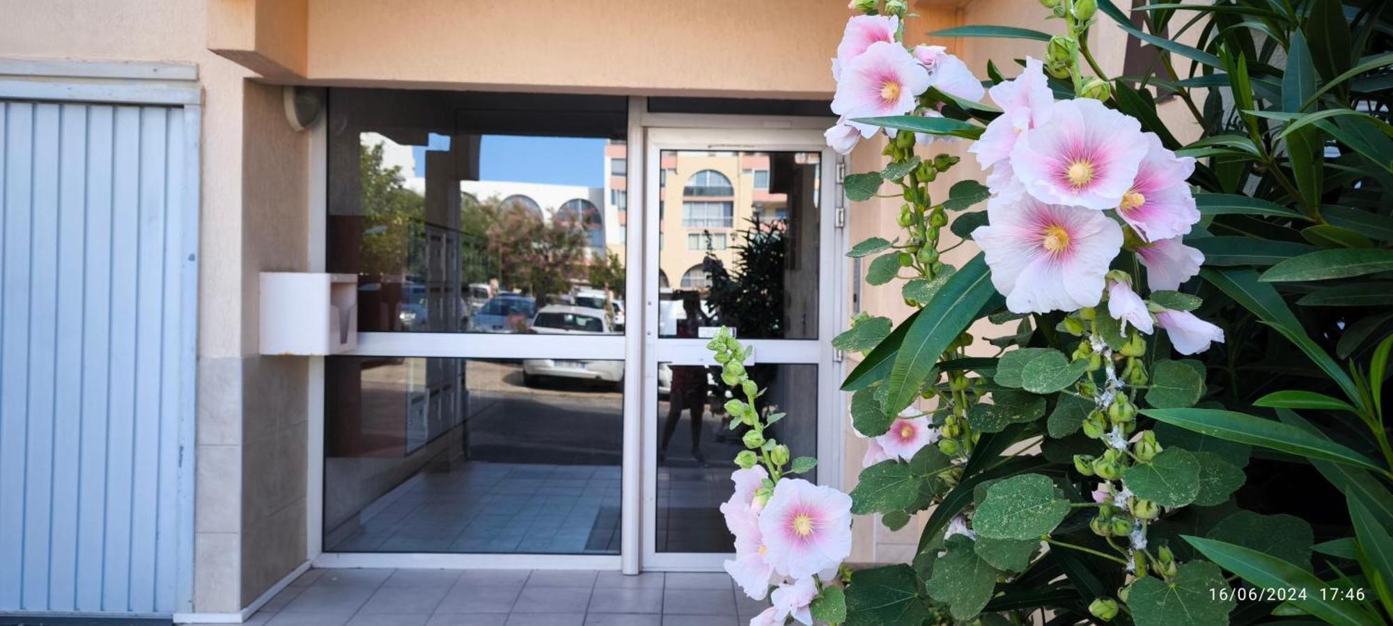 La Perle Marine, Cosy Et Renove, 200 M De La Plage, 1 Chambre, Parking Et Wifi Sète Eksteriør billede